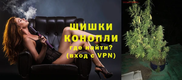 сатива Магадан