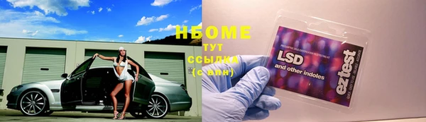 сатива Магадан