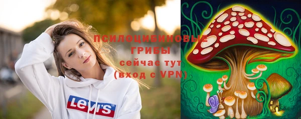 бошки Алексеевка