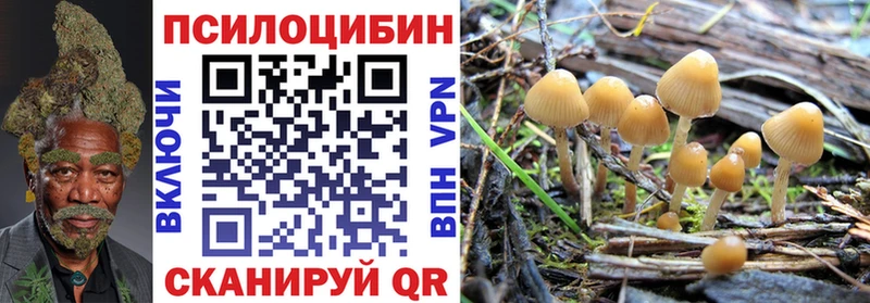 Псилоцибиновые грибы GOLDEN TEACHER  цены наркотик  гидра сайт  мориарти Telegram  Суджа 