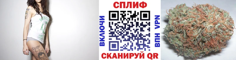 Канабис индика  купить  сайты  Суджа 